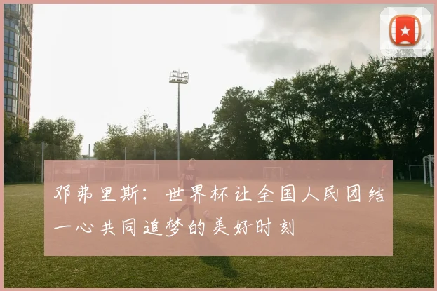 邓弗里斯：世界杯让全国人民团结一心共同追梦的美好时刻